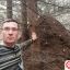 Самый высокий муравейник в России