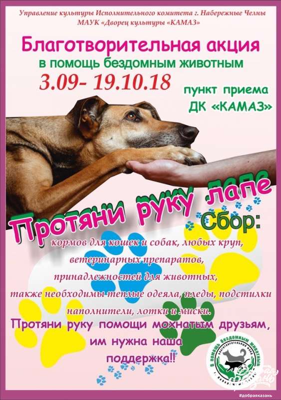 Протяни руку лапе! Протяни руку лапе!