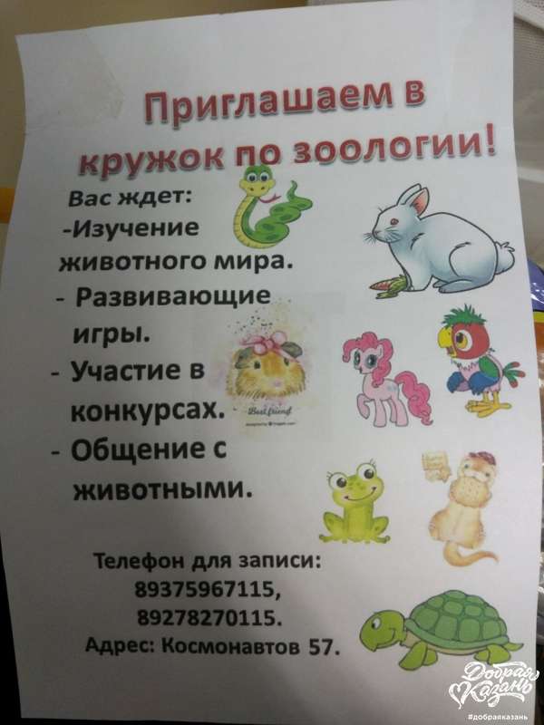 Приглашение в кружок зоологии