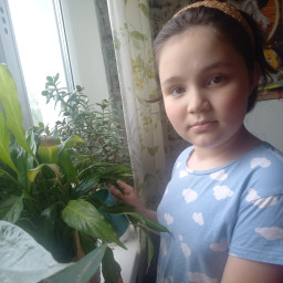 Помощь по дому