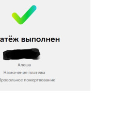 Перечислили пожертвование