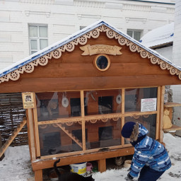 Забота о кошках и котах