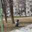 Субботник во дворе 0 Субботник во дворе 0