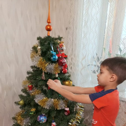 Лучше ставить искусственную елку, чем живую, — это меньше вредит природе.