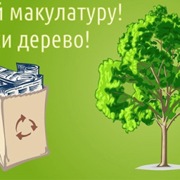 Забота о природе Забота о природе