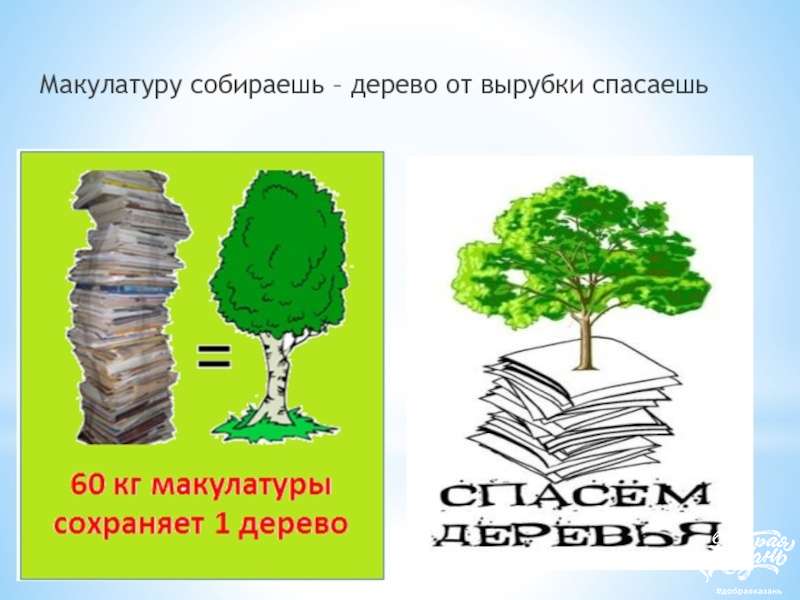 Забота о природе Забота о природе