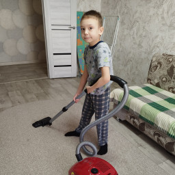 Пылесосил
