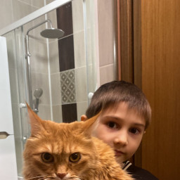 Забрали кота в гости, чтобы не оставался один.=)