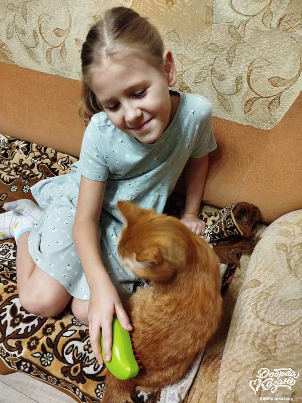 Вычесала кота