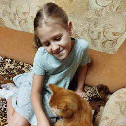 Вычесала кота