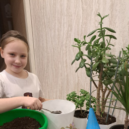 Пересаживаем с мамой цветы