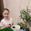 Пересаживаем с мамой цветы 0