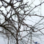Кормушка для птиц 0